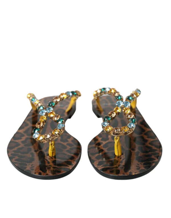 Dolce & Gabbana Mustard Crystal Calf Leather Beachwear Shoes – Image 2