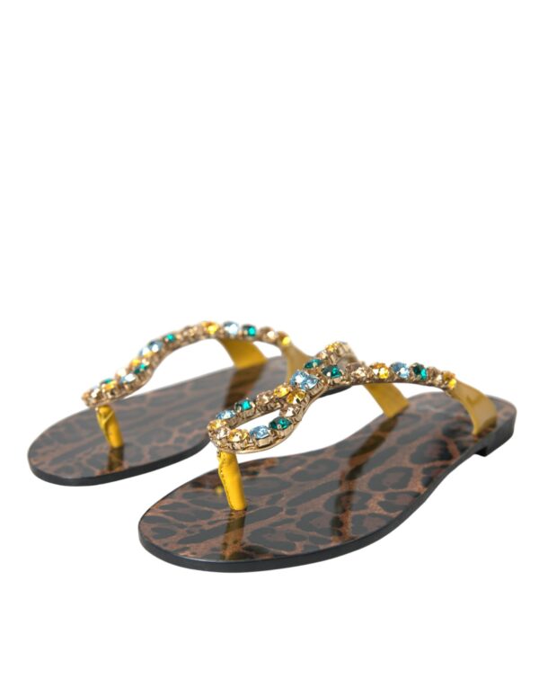 Dolce & Gabbana Mustard Crystal Calf Leather Beachwear Shoes – Image 3