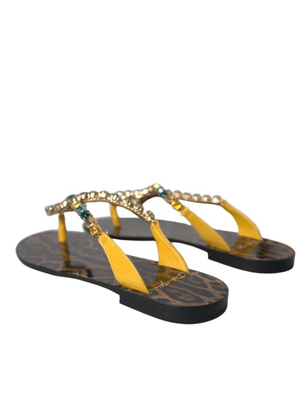 Dolce & Gabbana Mustard Crystal Calf Leather Beachwear Shoes – Image 4