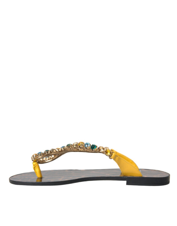 Dolce & Gabbana Mustard Crystal Calf Leather Beachwear Shoes – Image 5