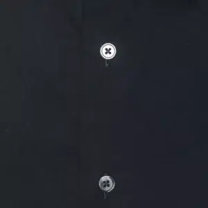 4116303.webp
