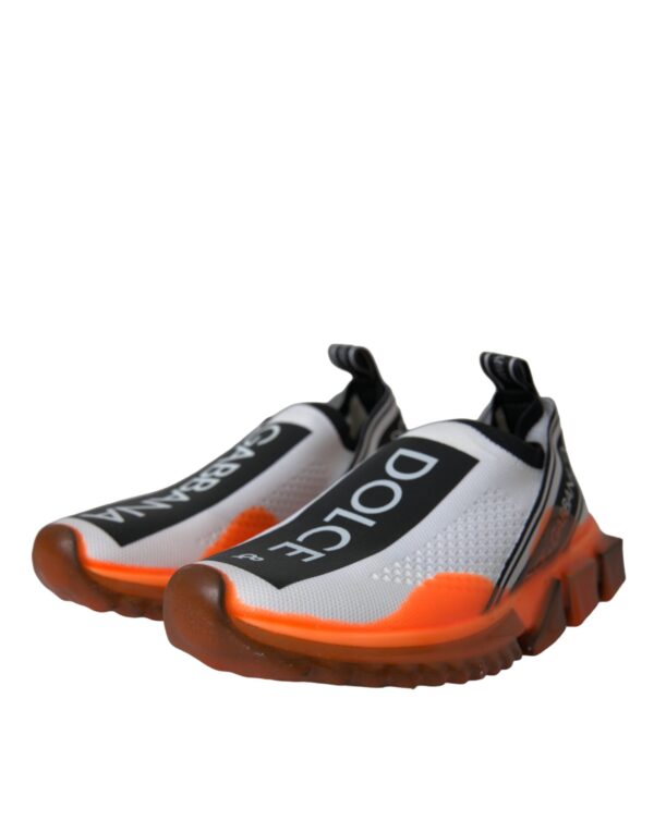4581759.jpg